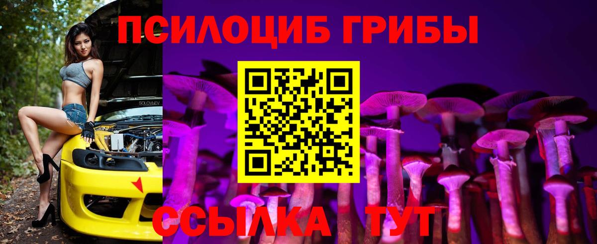 Галлюциногенные грибы Psilocybe Жуковский